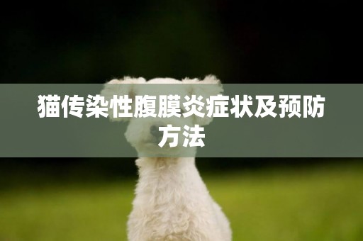 貓傳染性腹膜炎癥狀及預防方法