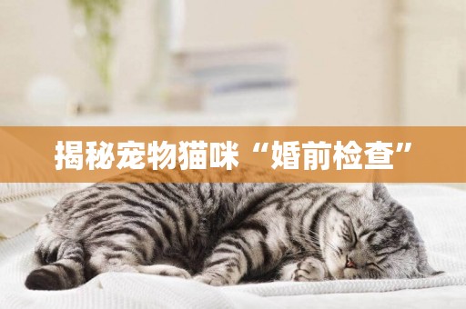 揭秘寵物貓咪“婚前檢查”
