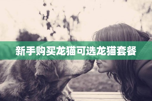 新手購買龍貓可選龍貓套餐