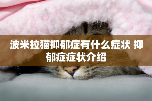 波米拉貓抑郁癥有什么癥狀 抑郁癥癥狀介紹