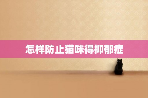 怎樣防止貓咪得抑郁癥