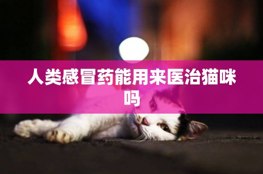 人類感冒藥能用來醫治貓咪嗎