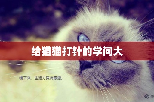 給貓貓打針的學問大