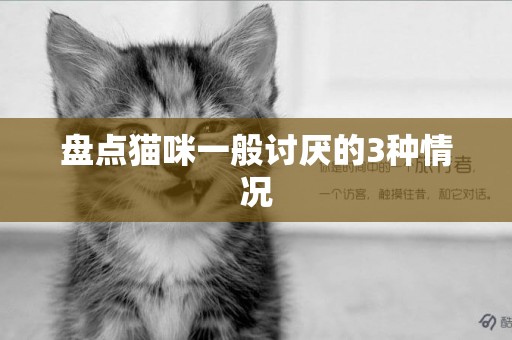 盤點貓咪一般討厭的3種情況