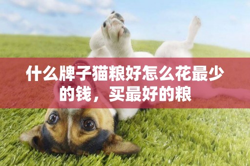 什么牌子貓糧好怎么花最少的錢，買最好的糧
