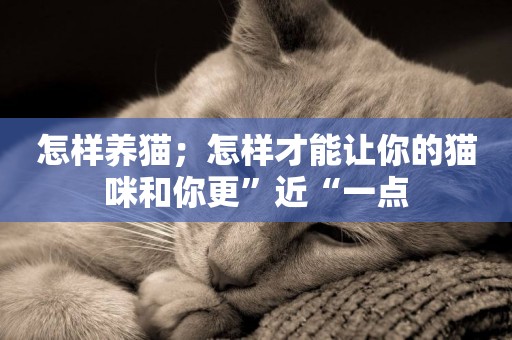 怎樣養貓；怎樣才能讓你的貓咪和你更”近“一點