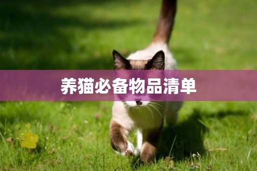 養貓必備物品清單