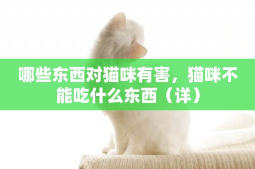 哪些東西對貓咪有害，貓咪不能吃什么東西（詳）