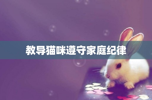 教導貓咪遵守家庭紀律