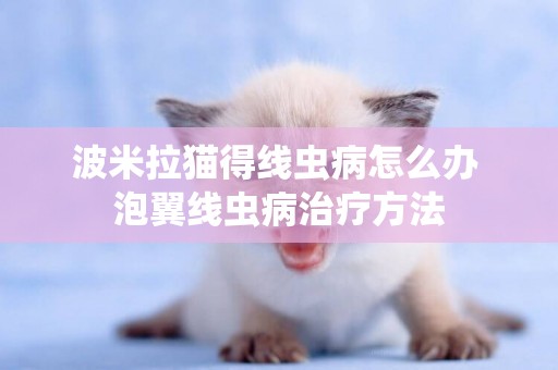 波米拉貓得線蟲病怎么辦 泡翼線蟲病治療方法