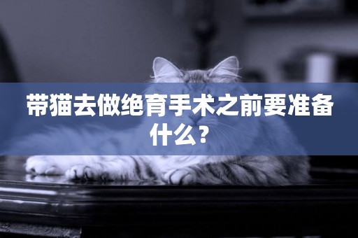 帶貓去做絕育手術之前要準備什么？