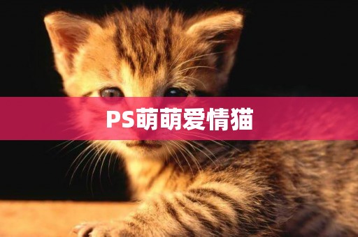 PS萌萌愛情貓