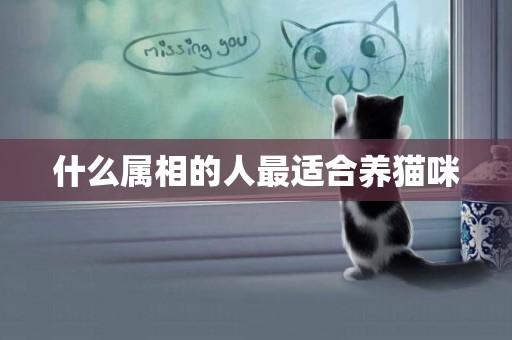 什么屬相的人最適合養貓咪