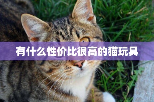 有什么性價比很高的貓玩具