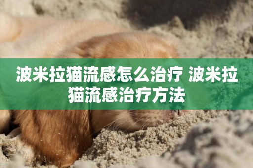 波米拉貓流感怎么治療 波米拉貓流感治療方法