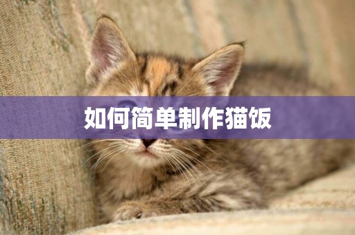 如何簡單制作貓飯