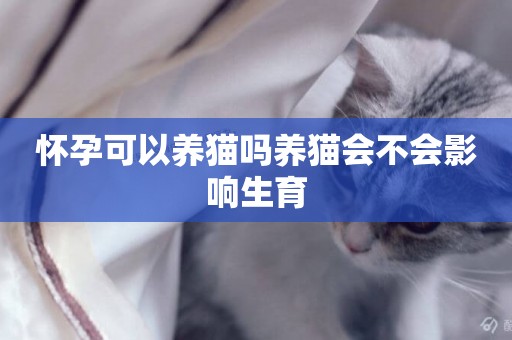 懷孕可以養貓嗎養貓會不會影響生育