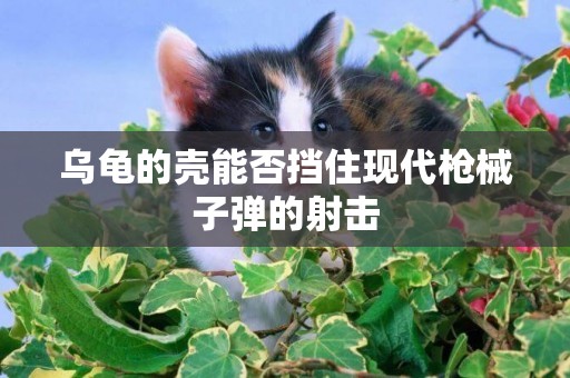 烏龜的殼能否擋住現代槍械子彈的射擊