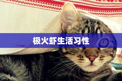 極火蝦生活習性