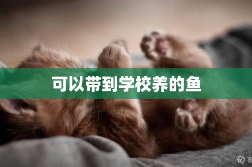 可以帶到學校養的魚