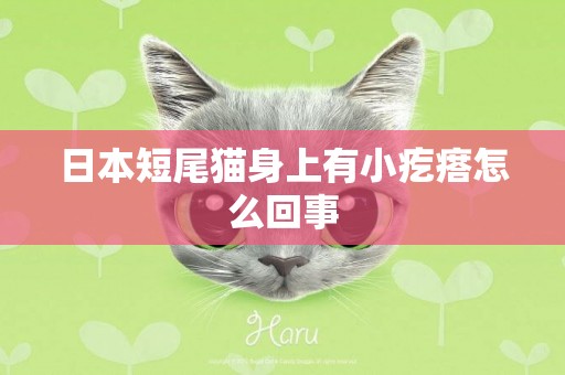 日本短尾貓身上有小疙瘩怎么回事