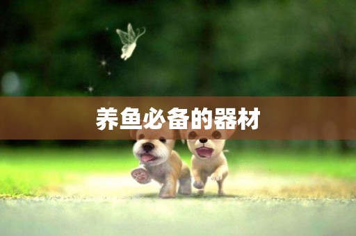 養魚必備的器材