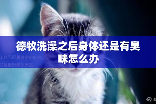 德牧洗澡之后身體還是有臭味怎么辦