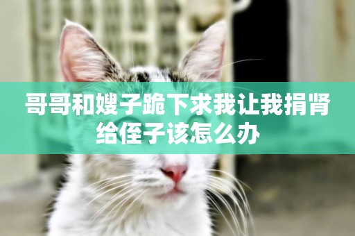 哥哥和嫂子跪下求我讓我捐腎給侄子該怎么辦
