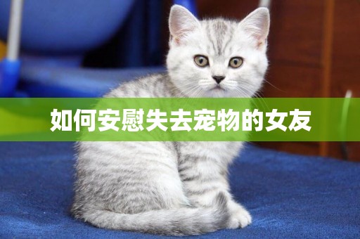 如何安慰失去寵物的女友