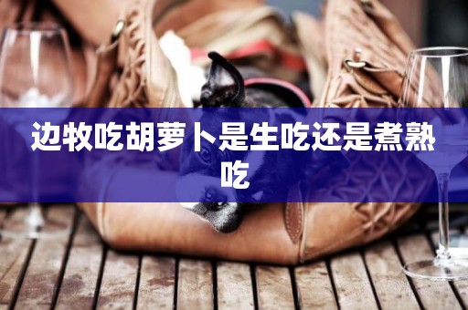 邊牧吃胡蘿卜是生吃還是煮熟吃