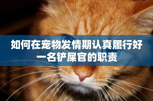 如何在寵物發情期認真履行好一名鏟屎官的職責