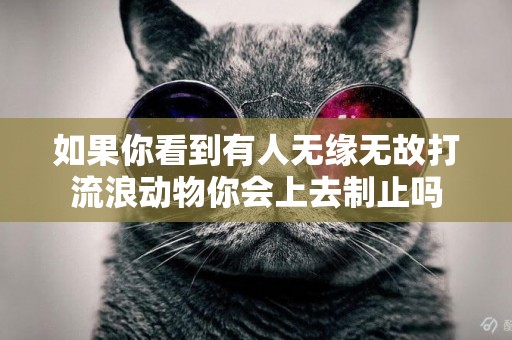 如果你看到有人無緣無故打流浪動物你會上去制止嗎