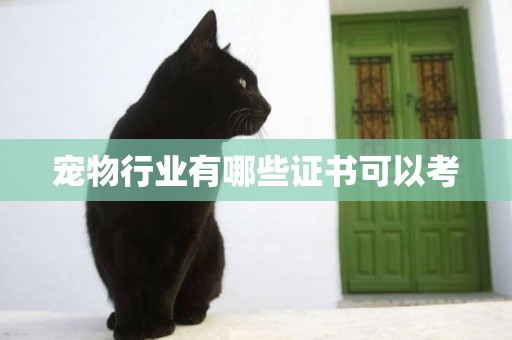 寵物行業有哪些證書可以考
