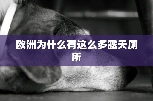 歐洲為什么有這么多露天廁所