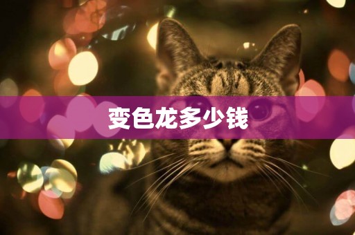 變色龍多少錢