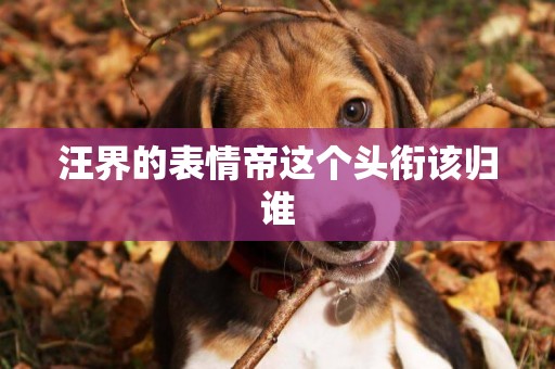 汪界的表情帝這個頭銜該歸誰