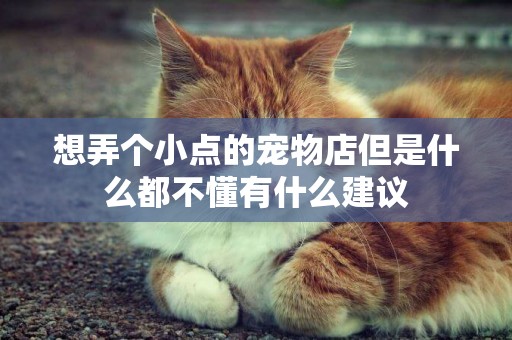 想弄個小點的寵物店但是什么都不懂有什么建議