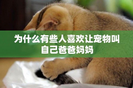 為什么有些人喜歡讓寵物叫自己爸爸媽媽