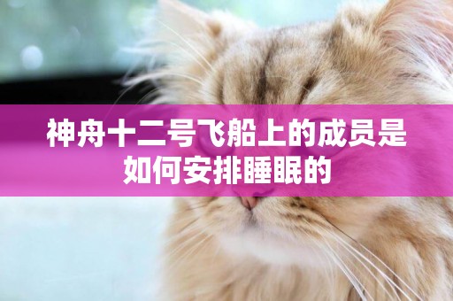 神舟十二號飛船上的成員是如何安排睡眠的