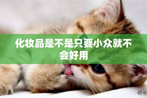 化妝品是不是只要小眾就不會好用