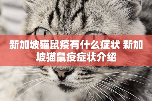 新加坡貓鼠疫有什么癥狀 新加坡貓鼠疫癥狀介紹