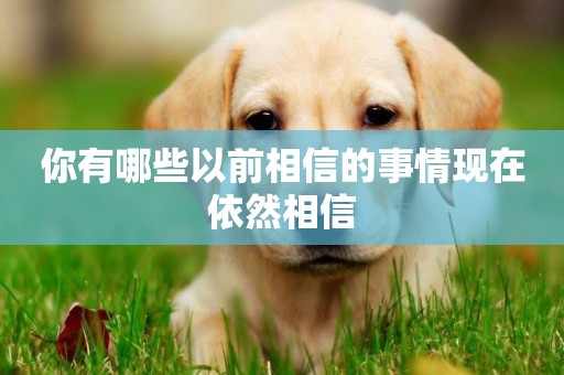 你有哪些以前相信的事情現在依然相信