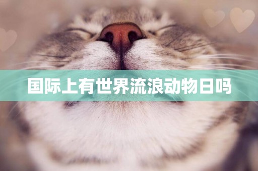 國際上有世界流浪動物日嗎