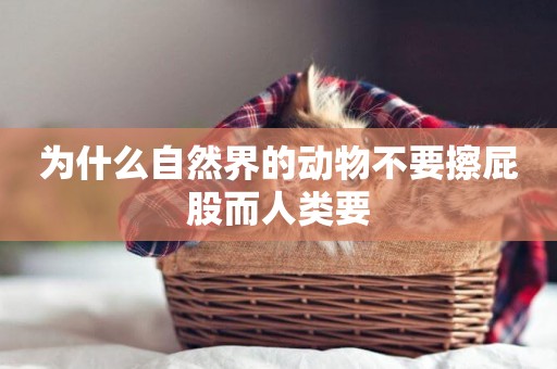 為什么自然界的動物不要擦屁股而人類要