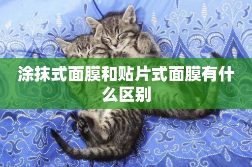 涂抹式面膜和貼片式面膜有什么區別
