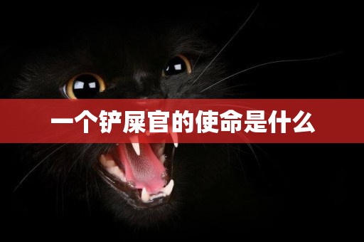 一個鏟屎官的使命是什么
