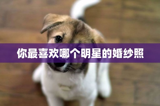 你最喜歡哪個明星的婚紗照