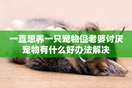 一直想養一只寵物但老婆討厭寵物有什么好辦法解決