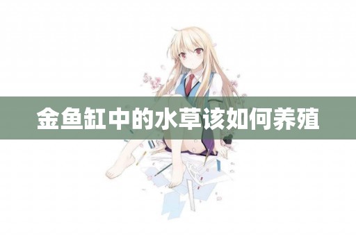 金魚缸中的水草該如何養殖