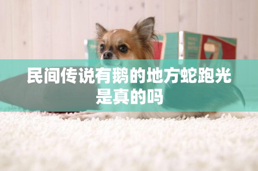 民間傳說有鵝的地方蛇跑光是真的嗎